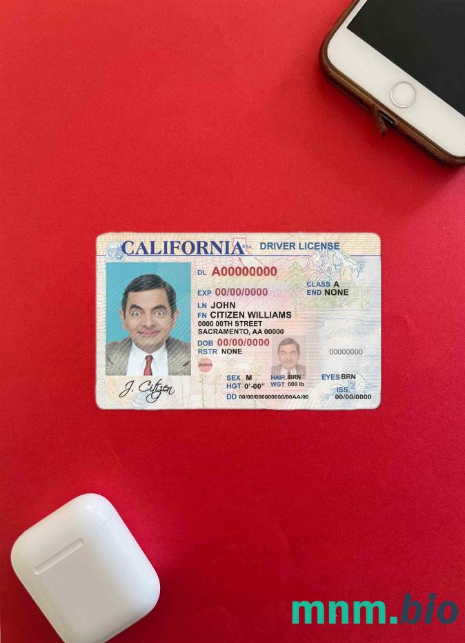 USA Kalifornia prawo jazdy photolook